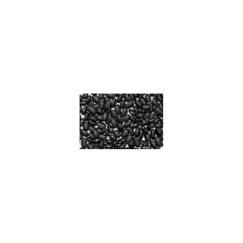 Organic Black Turtle Beans | Heirloom | NON-GMO | USA