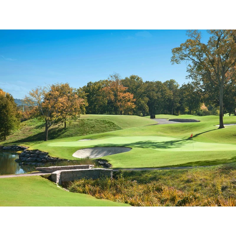 Evergreen Farm and Garden Diamond Pro Green Divot Sand -