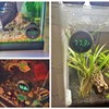 DWEII 2pack LED Digital Aquarium Thermometer, Tank Thermometer Aquarium Temperature