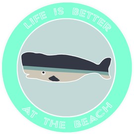 Athena Brands Whale Life is Better at the Beach Car Truck Window Bumper Graphic Sticker Decal - Sea Grass Green