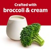 Campbell's Condensed Cream of Broccoli Soup, 10.5 Oz Can