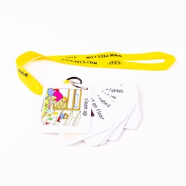 PECS® Show and Go: Visual Classroom Direction Cards (Any Color)