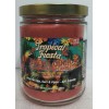 Smoke Odor Exterminator 22 oz Jar Candle, Tropical Fiesta. Including