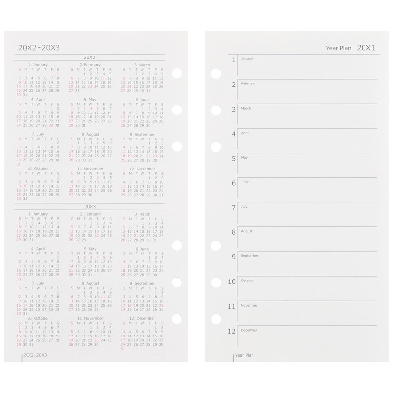 Maruman DP175-25 Planner System Notebook Refill, 2025 Bible-Size Data Plan,