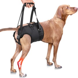 PZRLit Carrying Aid Dog Stairs, Adjustable Walking Aid for Dogs, Rear Shoulder Strap, Dog Carrying Harness, Carry Bag for Older Dogs, Assistance Vest for Hip and Hind Legs Injuries, Large