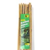 Jollybower 20pcs 5/8" D Thicker Heavy Duty Bamboo Stakes, 6FT