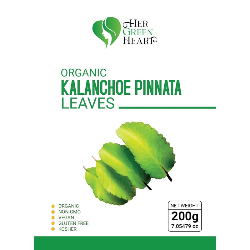 Kalanchoe Pinnata Leaves Herbal tea - 100% Pure, Dried Leaves