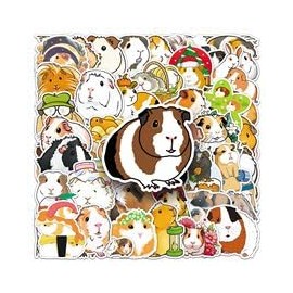 50 PCS Stickers for Guinea Pig,Guinea Pig Stickers,Teens Boys and Girls Sticker Pack Vinyl Skateboard Guitar Door Laptop Luggage Car Bike Water Bottle Birthday Party Supplies Stickers