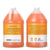 Ginger Lily Farms C and F Formula Shampoo, Citrus Gallon,