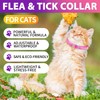 Collare Antiparassitario Per Gatti 4 Pezzi, Impermeabile Collare Antipulci e