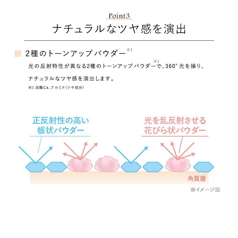 CEFINE Silky Multi-Cover Concealer