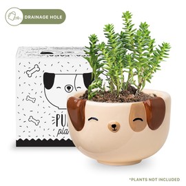 Apa la Papa, Dog Animal Ceramic Planter, 5 x 5 x 4 in., Exclusive Ceramic Animal Planters for Indoor and Outdoors, Cute Hand Painted Designed in Argentina, Convenient Drain Hole