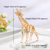 Arikyrist Crystal Gold Giraffe Collectible Figurines, Birthday Christmas Cute Giraffe