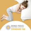 Pamposh Fitted Sheet Extra Deep Pocket (40 cm) Hypoallergenic Double