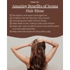 200 g Whole Sennes Leaves (Senna Alexandrina) - Detoxification Herbal