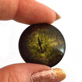 Dark Green Gharial Crocodile Glass Eyes Realistic Animal Pair for Art Dolls, Sculptures, Props, Masks, Fursuits, Jewelry Making, Taxidermy, and More (25mm)