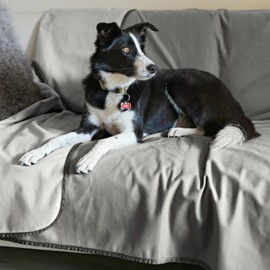 Waterproof Pet Blanket, Washable Dog Blanket for Couch Sofa, Reversible Couch Cover Protector for Dogs, Liquid Resistance Blanket for Dogs Small Medium Large