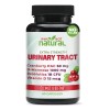 Why Not Natural Suplemento Infección Urinaria 5 En 1 60