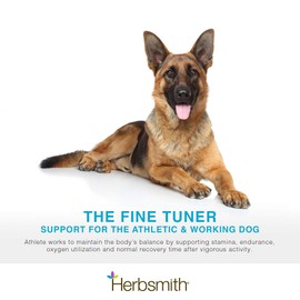 Herbsmith Herbsmith Athlete C Canine Endurance Supplement for Working and Agility Dogs C For the Canine Athlete C 150g Powder