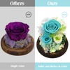 Birthday Flowers for Delivery Prime, Mothers Day & Christmas Gifts