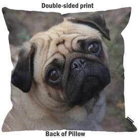 HGOD DESIGNS Cushion Cover Pug Dog,Throw Pillow Case Home Decorative for Men/Women Living Room Bedroom Sofa Chair 18X18 Inch Pillowcase 45X45cm