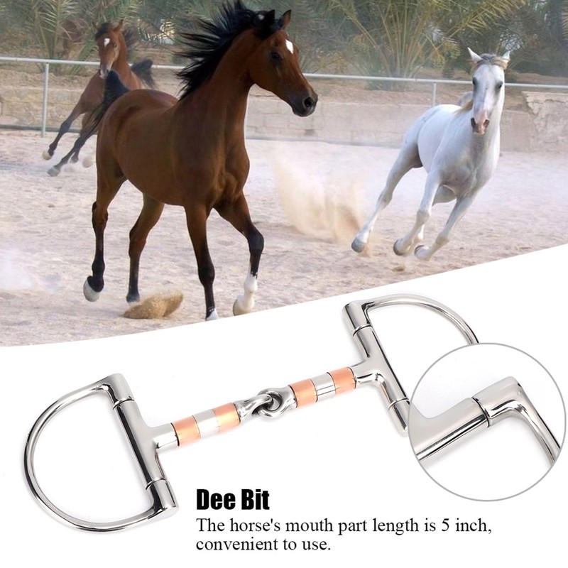 Stainless Steel Dee Bit Snaffle Horse Tool Accessories Mouth with