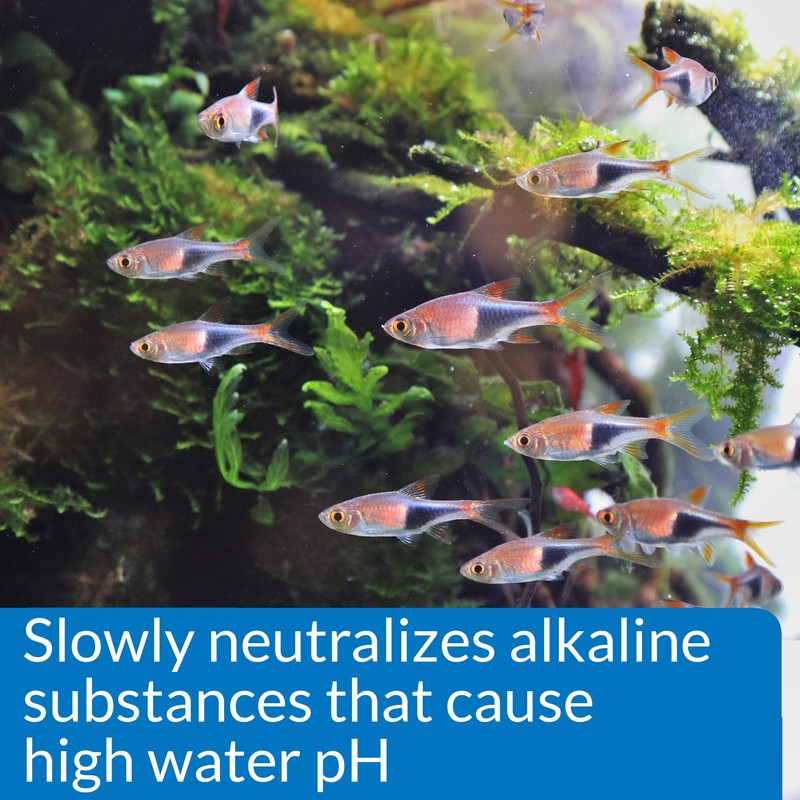 API pH DOWN Freshwater Aquarium Water pH Reducing Solution 1.25-Ounce