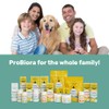 ProBioraPlus (formerly EvoraPlus) Oral Probiotic Mints Support Healthy Teeth and