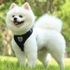 Step-in Dog Harness Adjustable Reflective Soft Dog Harness Breathable Vest