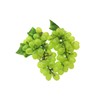 Speed mao Realistic Muscat Grapes Food Sample Model Set of