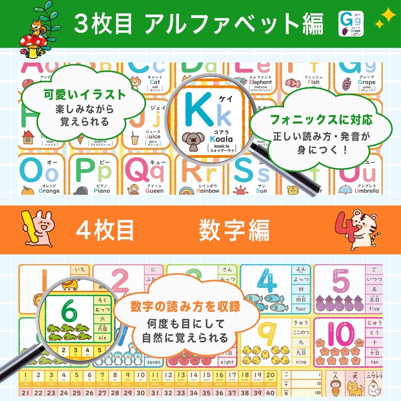 Dr. Routine's Learning Academy Bath Poster Aiueo Chart Hiragana Numbers