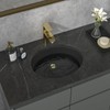 Sarlai Black Undermount Bathroom Sink -18 x15 inch Oval Vessel