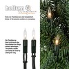 hellum 832075 20-Bulb Mini Fairy Lights, Indoor Power-Operated Multi-Coloured Lights