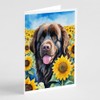 Caroline's Treasures Newfoundland in Sunflowers Greeting Cards Pack of 8