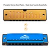 EastRock Blues 10 Holes Harmonica with Harmonica Box Suitable for