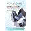 Terahertz Ore Bracelet 6mm Round Ball Genuine Gemstone Power Stone,