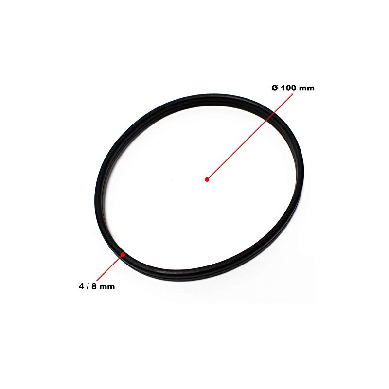 Spare Part Swimming Pool Pump WilTec-200/300 Gasket 1