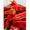 Dulce de Espana Sweet Pepper Seeds - 20 Fresh Dulce