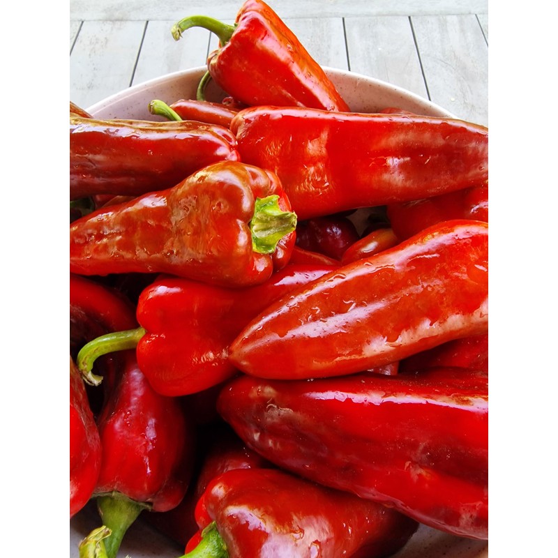 Dulce de Espana Sweet Pepper Seeds - 20 Fresh Dulce