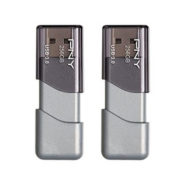 PNY PNY P-FD256X2TBOP-MP 256GB Turbo Attach 3 USB 3.0 Flash Drive,Silver (Pack of 2)