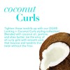 OGX Locking + Coconut Curls Decadent Creamy Mousse, 7.9 Ounce