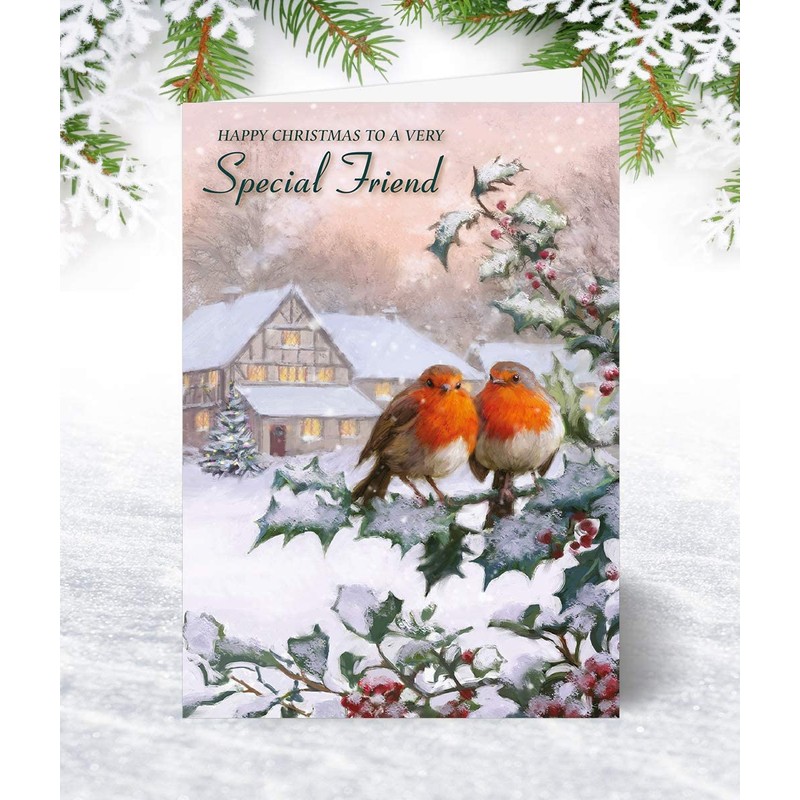 Special Friend Christmas Card - Two Robins - Medium Sized