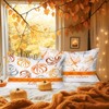 Benjia Fall Queen Pillowcase 20x30 Set of 2, Sketch Pumpkin