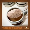 Fireside Coffee Toasted Coconut Cafe Mocha - Instant Coffee Chocolate