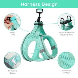 BELLA & PAL Small Dog Harness with Leash Set, Light Green, Size S, No Pull, Reflective Strips, Step-in Design