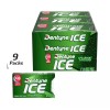 DENTYNE ICE Sugar Free Gum, Spearmint, 16 Pieces (9 Count)