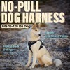 Dog Harness No-Pull with Front & Back D-Rings, Water-Repellent 600D