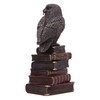 Nemesis Now Bronze Spellcraft Witches Familiar Owl on Book Figure