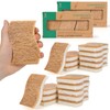 ECYWE Esponjas de Cocina Naturales biodegradables - Esponjas de Cocina