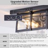 Motion Sensor Outdoor Flush Mount Ceiling Light, Industrial Glass Rustic